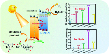 Graphical abstract: Mo-Doped/Ni-supported ZnIn2S4-wrapped NiMoO4 S-scheme heterojunction photocatalytic reforming of lignin into hydrogen