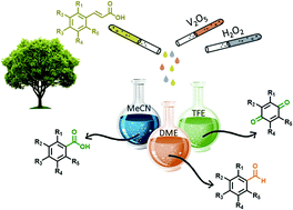 Graphical abstract: Oxidative cleavage of C–C double bond in cinnamic acids with hydrogen peroxide catalysed by vanadium(v) oxide