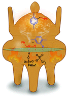 Graphical abstract: Hydrogen-bonding and acid cooperative catalysis for benzylation of arenes with benzyl alcohols over ionic liquids