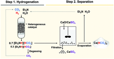 Graphical abstract: Eco-friendly and techno-economic conversion of CO2 into calcium formate, a valuable resource