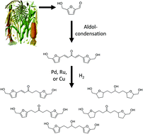 Graphical abstract: Controlled hydrogenation of a biomass-derived platform chemical formed by aldol-condensation of 5-hydroxymethyl furfural (HMF) and acetone over Ru, Pd, and Cu catalysts