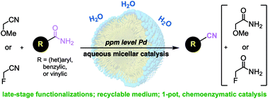 Graphical abstract: Dehydration of primary amides to nitriles in water. Late-stage functionalization and 1-pot multistep chemoenzymatic processes under micellar catalysis conditions