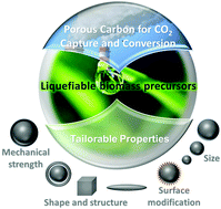 Graphical abstract: Liquefiable biomass-derived porous carbons and their applications in CO2 capture and conversion