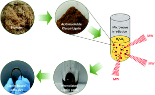 Graphical abstract: Microwave-assisted phenolation of acid-insoluble Klason lignin and its application in adhesion