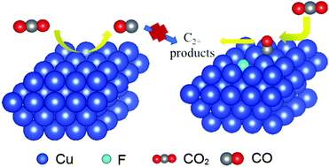 Graphical abstract: Boosting CO2 electroreduction to C2+ products on fluorine-doped copper
