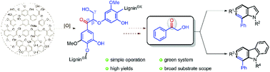 Graphical abstract: Synthesis of indoles and carbazoles from a lignin model compound α-hydroxyacetophenone