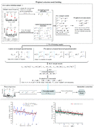 Graphical abstract: Repeatability enhancing method for one-shot LIBS analysis via spectral intensity correction based on probability distribution