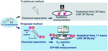 Graphical abstract: Rapid analysis of 90Sr in cattle bone and tooth samples by inductively coupled plasma mass spectrometry