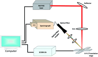 Graphical abstract: Separation and determination of Cr(iii) and Cr(vi) in aqueous solution using laser-induced breakdown spectroscopy coupled with resin substrate preconcentration