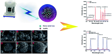 Graphical abstract: Nanoparticle-assisted metal–organic framework (MOF) enhanced laser-induced breakdown spectroscopy for the detection of heavy metal ions in liquid samples