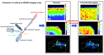 Graphical abstract: Quantitative calculation of a confocal synchrotron radiation micro-X-ray fluorescence imaging technique and application on individual fluid inclusion