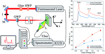 Graphical abstract: Effect of laser polarization on molecular emission from femtosecond LIBS