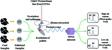 Graphical abstract: The standardization and application of an external (in air) particle induced gamma emission (PIGE) method for the rapid and non-destructive quantification of light elements at major to trace concentrations in coal, bottom ash and coke samples