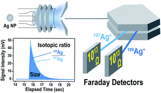 Graphical abstract: Size and isotopic ratio measurements of individual nanoparticles by a continuous ion-monitoring method using Faraday detectors equipped on a multi-collector-ICP-mass spectrometer