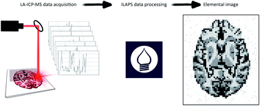 Graphical abstract: Ilaps – python software for data reduction and imaging with LA-ICP-MS