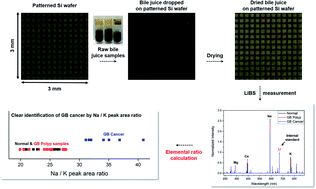 Graphical abstract: Feasibility of laser-induced breakdown spectroscopy as a direct raw bile analysis tool for screening of gallbladder cancer