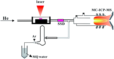 Graphical abstract: Non-matrix-matched calibration of Mg isotopic ratios in silicate samples by fs-LA-MC-ICP-MS with low mass resolution under wet plasma conditions