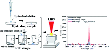 Graphical abstract: Quantitative analysis of mercury in liquid samples using laser-induced breakdown spectroscopy combined with shear thickening fluid