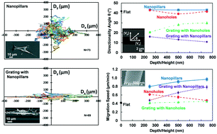 Graphical abstract: Directing osteoblastic cell migration on arrays of nanopillars and nanoholes with different aspect ratios