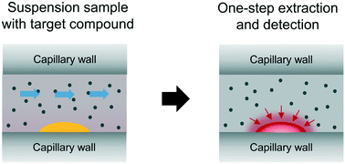 Graphical abstract: Surface nanodroplet-based nanoextraction from sub-milliliter volumes of dense suspensions