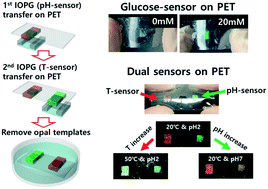 Graphical abstract: Fabrication of inverse opal photonic gel sensors on flexible substrates by transfer process