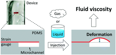 Graphical abstract: Microchannel measurements of viscosity for both gases and liquids