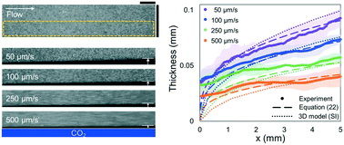 Graphical abstract: CO2-Driven diffusiophoresis and water cleaning: similarity solutions for predicting the exclusion zone in a channel flow