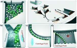 Graphical abstract: Cell-sorting centrifugal microfluidic chip with a flow rectifier