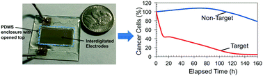 Graphical abstract: mRNA-based CAR T-cells manufactured by miniaturized two-step electroporation produce selective cytotoxicity toward target cancer cells