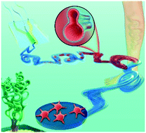 Graphical abstract: Microfluidic-directed biomimetic Bulbine torta-like microfibers based on inhomogeneous viscosity rope-coil effect