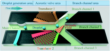 Graphical abstract: Acoustic valves in microfluidic channels for droplet manipulation