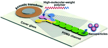 Graphical abstract: Fabrication of tunable, high-molecular-weight polymeric nanoparticles via ultrafast acoustofluidic micromixing