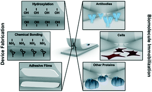 Graphical abstract: Conventional and emerging strategies for the fabrication and functionalization of PDMS-based microfluidic devices