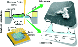 Graphical abstract: Addressable graphene encapsulation of wet specimens on a chip for optical, electron, infrared and X-ray based spectromicroscopy studies