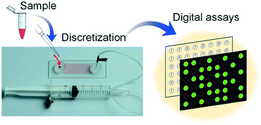 Graphical abstract: A hand-powered microfluidic system for portable and low-waste sample discretization