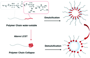 Graphical abstract: Thermo-responsive fluorinated surfactant for on-demand demulsification of microfluidic droplets