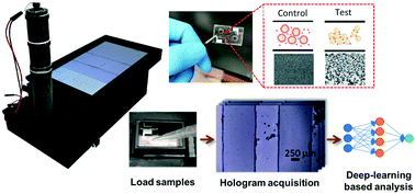 Graphical abstract: Quantitative particle agglutination assay for point-of-care testing using mobile holographic imaging and deep learning