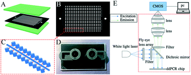 Graphical abstract: A rapid nucleic acid concentration measurement system with large field of view for a droplet digital PCR microfluidic chip