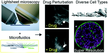 Graphical abstract: A multi-functional microfluidic device compatible with widefield and light sheet microscopy