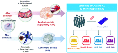 Graphical abstract: Screening for cerebral amyloid angiopathy based on serological biomarkers analysis using a dielectrophoretic force-driven biosensor platform