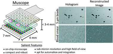 Graphical abstract: Muscope: a miniature on-chip lensless microscope