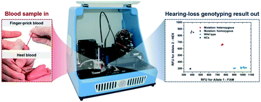 Graphical abstract: A fully integrated SNP genotyping system for hereditary hearing-loss detection