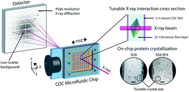 Graphical abstract: Plug-and-play polymer microfluidic chips for hydrated, room temperature, fixed-target serial crystallography