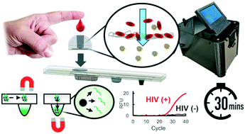 Graphical abstract: Filtration-assisted magnetofluidic cartridge platform for HIV RNA detection from blood