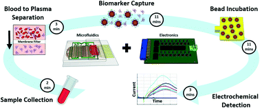 Graphical abstract: A sample-to-answer electrochemical biosensor system for biomarker detection