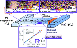 Graphical abstract: Temperature dependence of diffusiophoresis via a novel microfluidic approach