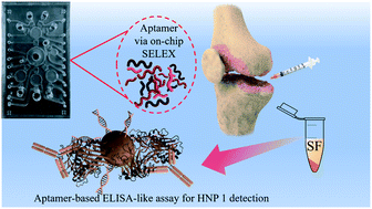 Graphical abstract: Aptamer selection against alpha-defensin human neutrophil peptide 1 on an integrated microfluidic system for diagnosis of periprosthetic joint infections