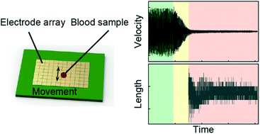 Graphical abstract: Point-of-care blood coagulation assay enabled by printed circuit board-based digital microfluidics