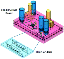 Graphical abstract: Fluidic circuit board with modular sensor and valves enables stand-alone, tubeless microfluidic flow control in organs-on-chips