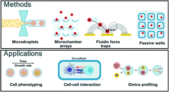 Graphical abstract: Recent advances in microfluidic devices for single-cell cultivation: methods and applications